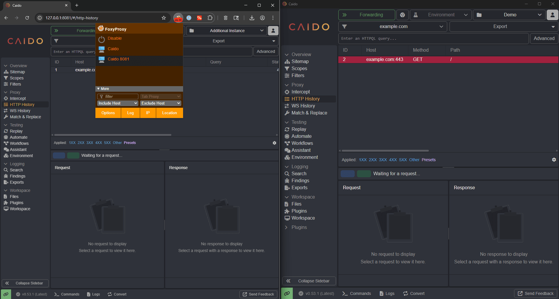 Using the Caido desktop application and browser user interface.