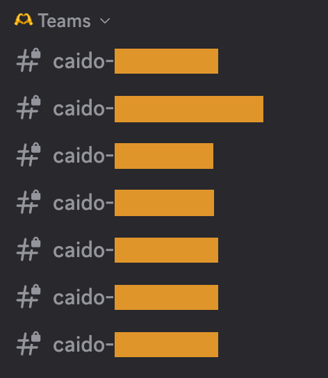 Teams Discord channel.